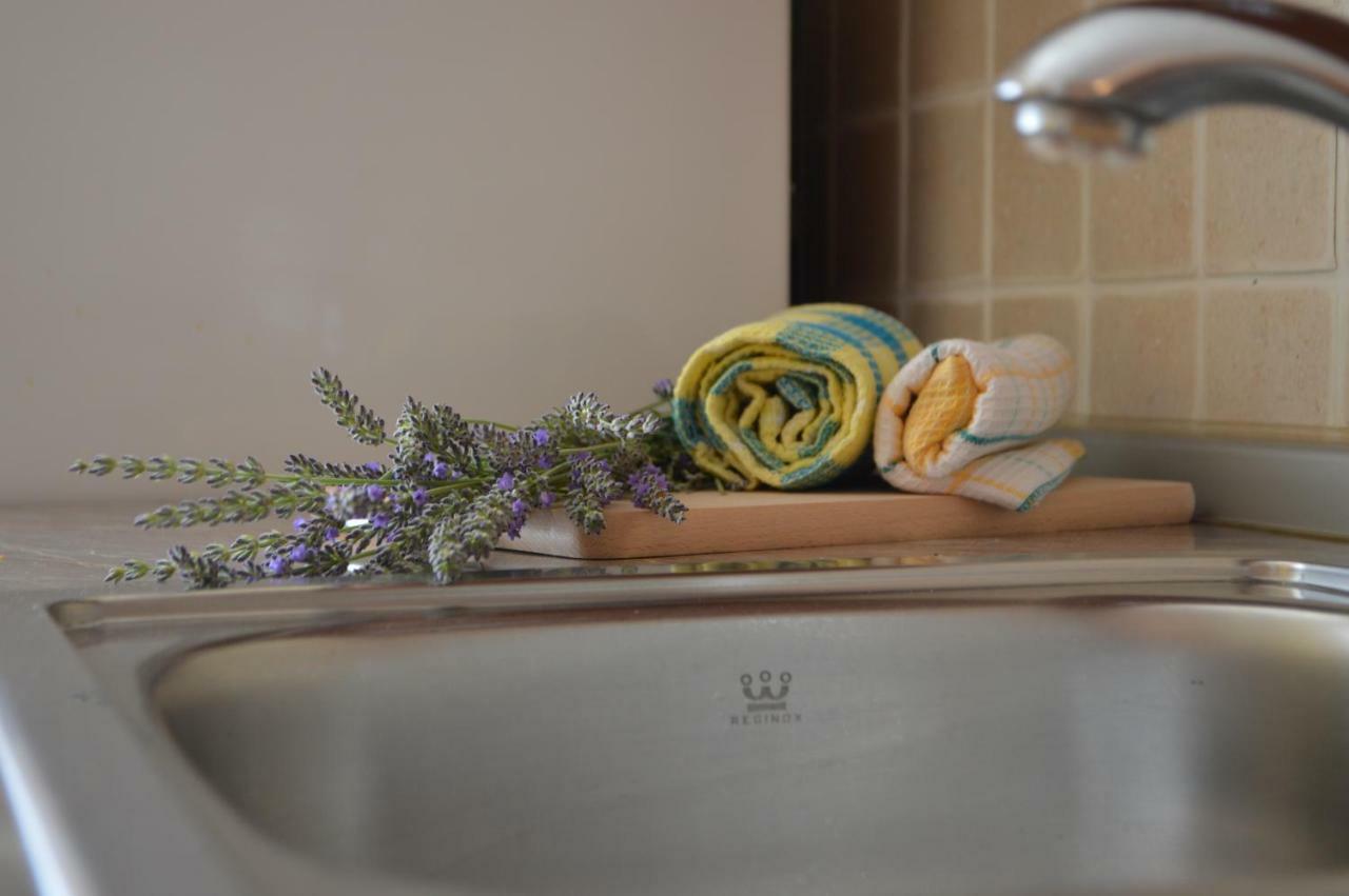 Apartman Lucija Apartment Pridraga Ngoại thất bức ảnh